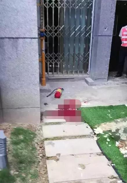 10岁男孩高空抛下灭火器砸中邻居,灭火器高空扔下致使邻居死亡