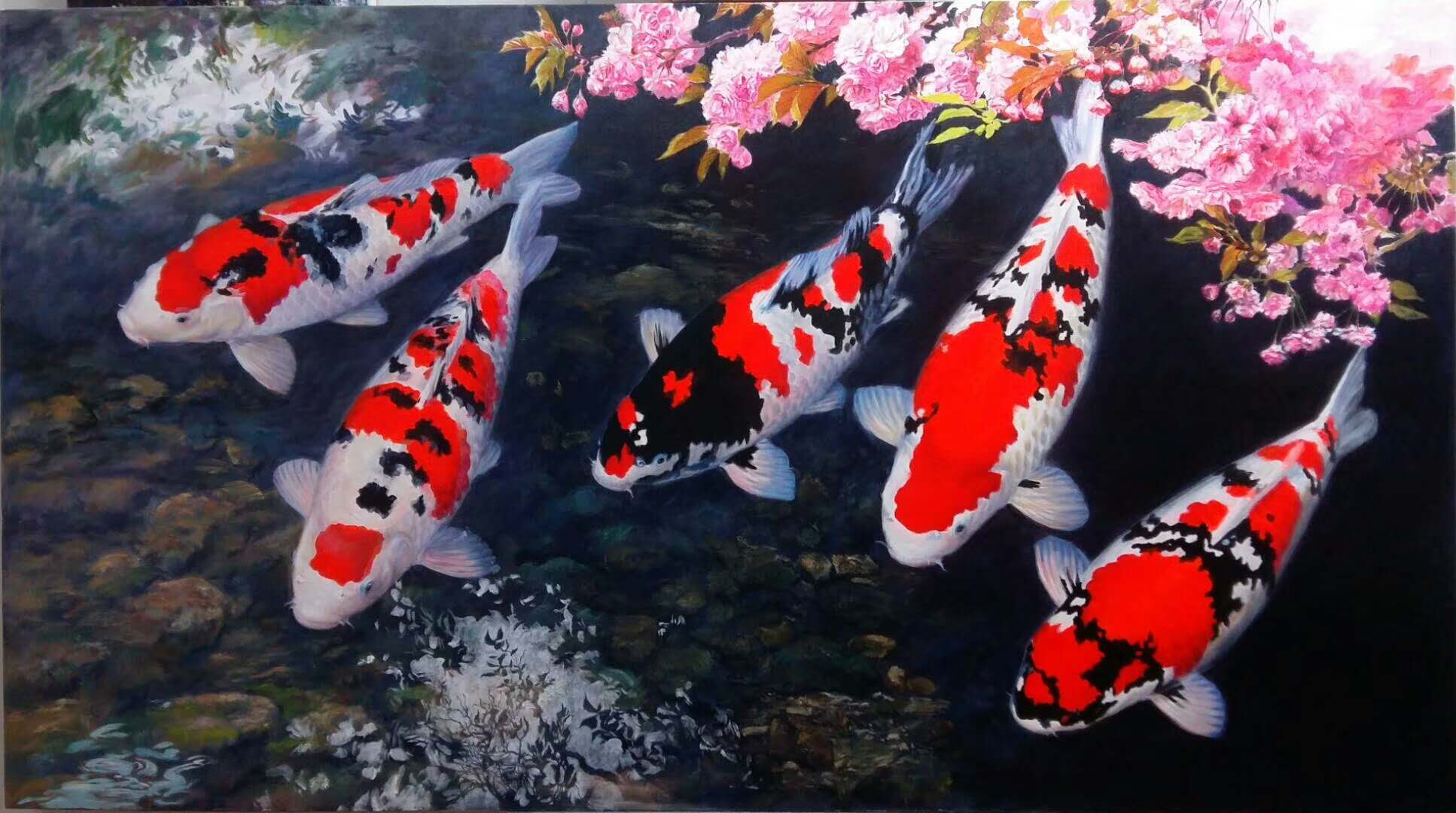 鱼缸养锦鲤鱼技术大全,缸养小锦鲤鱼的基本方法