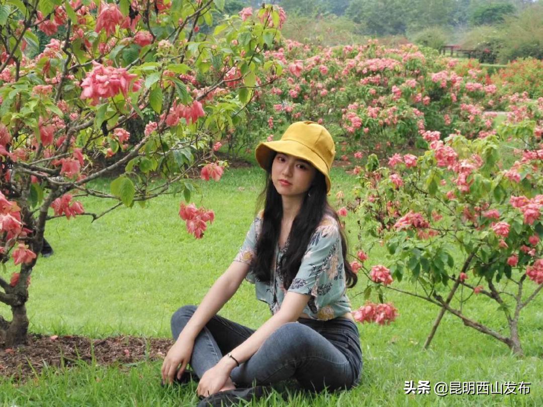 教育强区感恩有你|脚踏实地勤耕耘走近优秀教师（二）