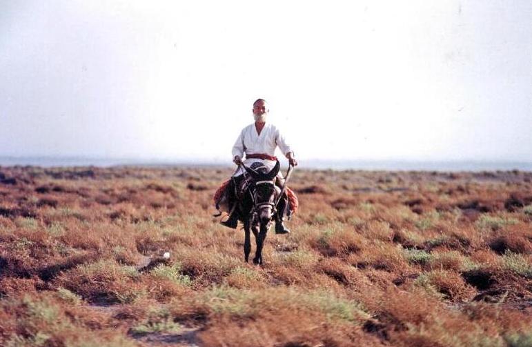 骑毛驴去看毛主席的库尔班，临终：后代参军报国，重孙女完成遗愿