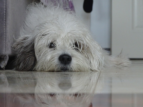 索尼hx400适合新手吗,索尼400开箱