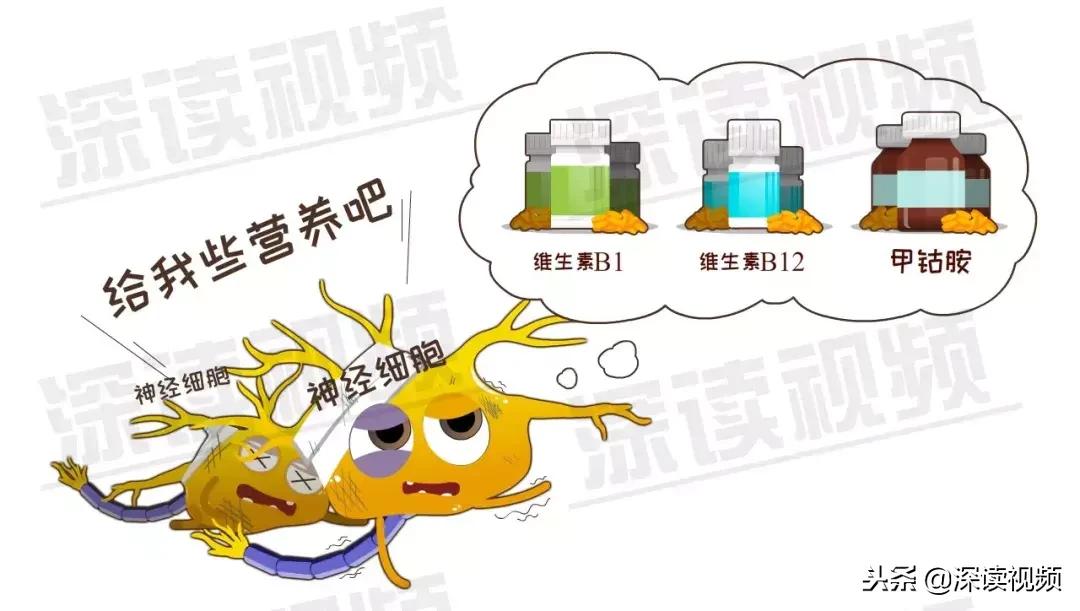 水痘和带状疱疹的关系你了解多少,水痘病毒引起的疱疹