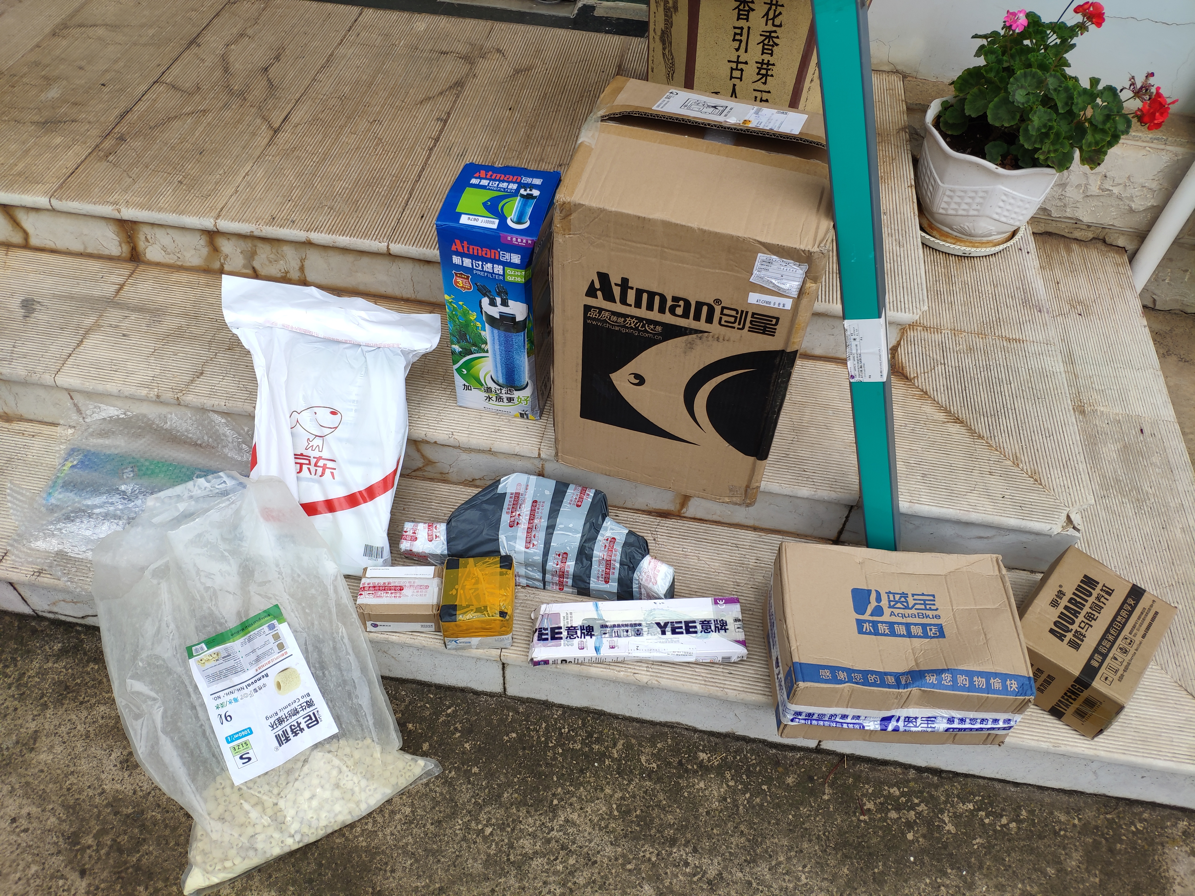 养观赏鱼哪方面最费钱,观赏鱼养哪种最省钱