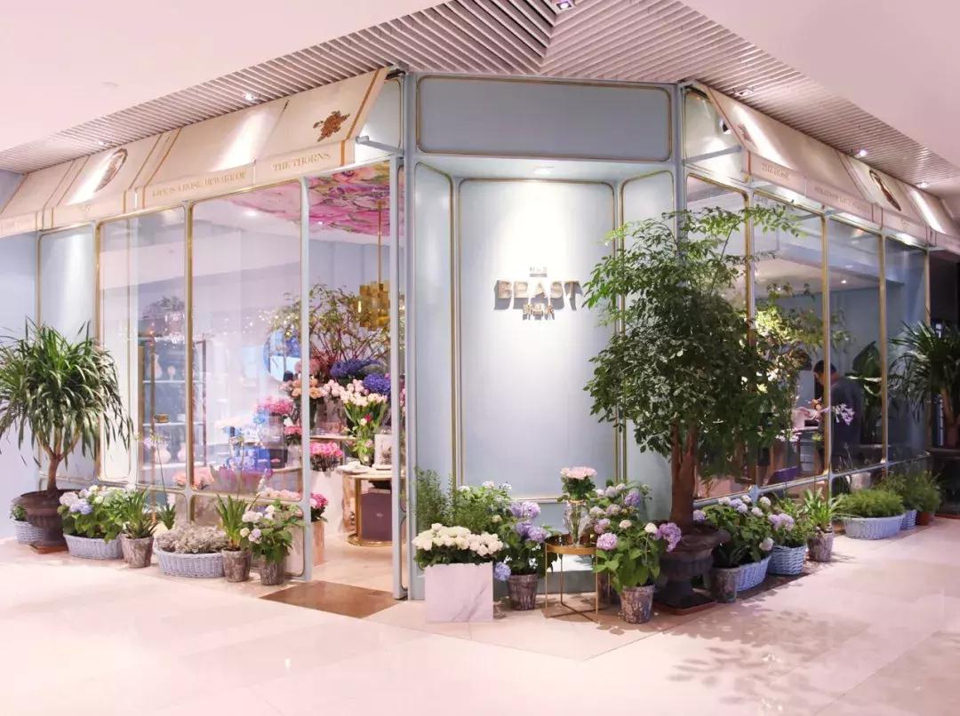 在花园里和鲜花为伴,在花店与鲜花为伴