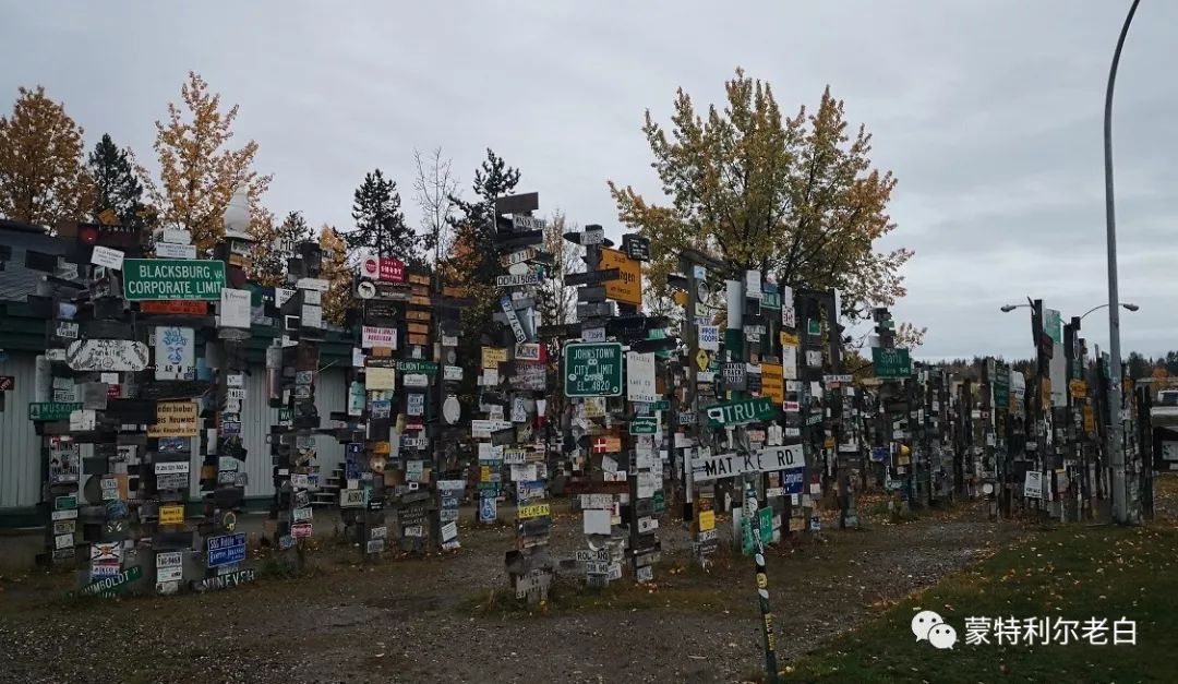 跟着老白行走加拿大，育空Watson Lake、BC省Northern Rockies