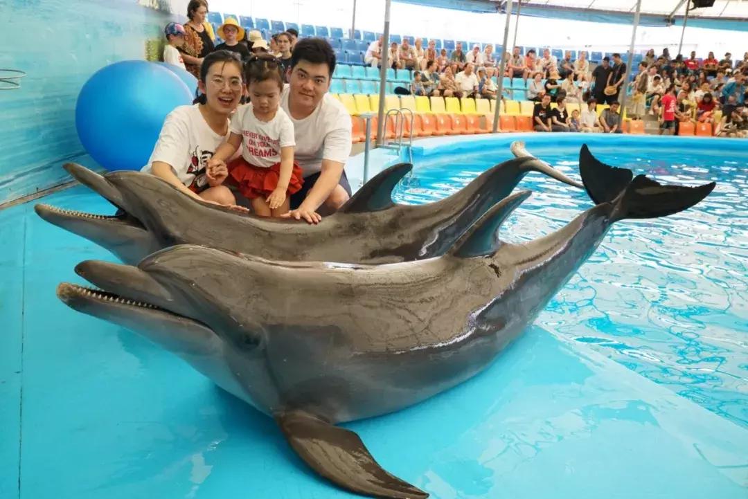 普吉岛7天6晚,普吉岛6天5晚高品质纯玩