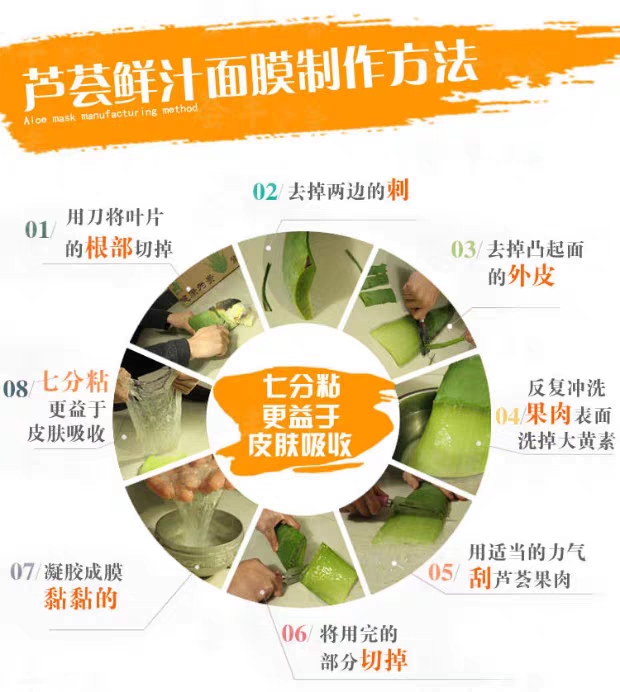 库拉索芦荟的种植方法以及美容功效