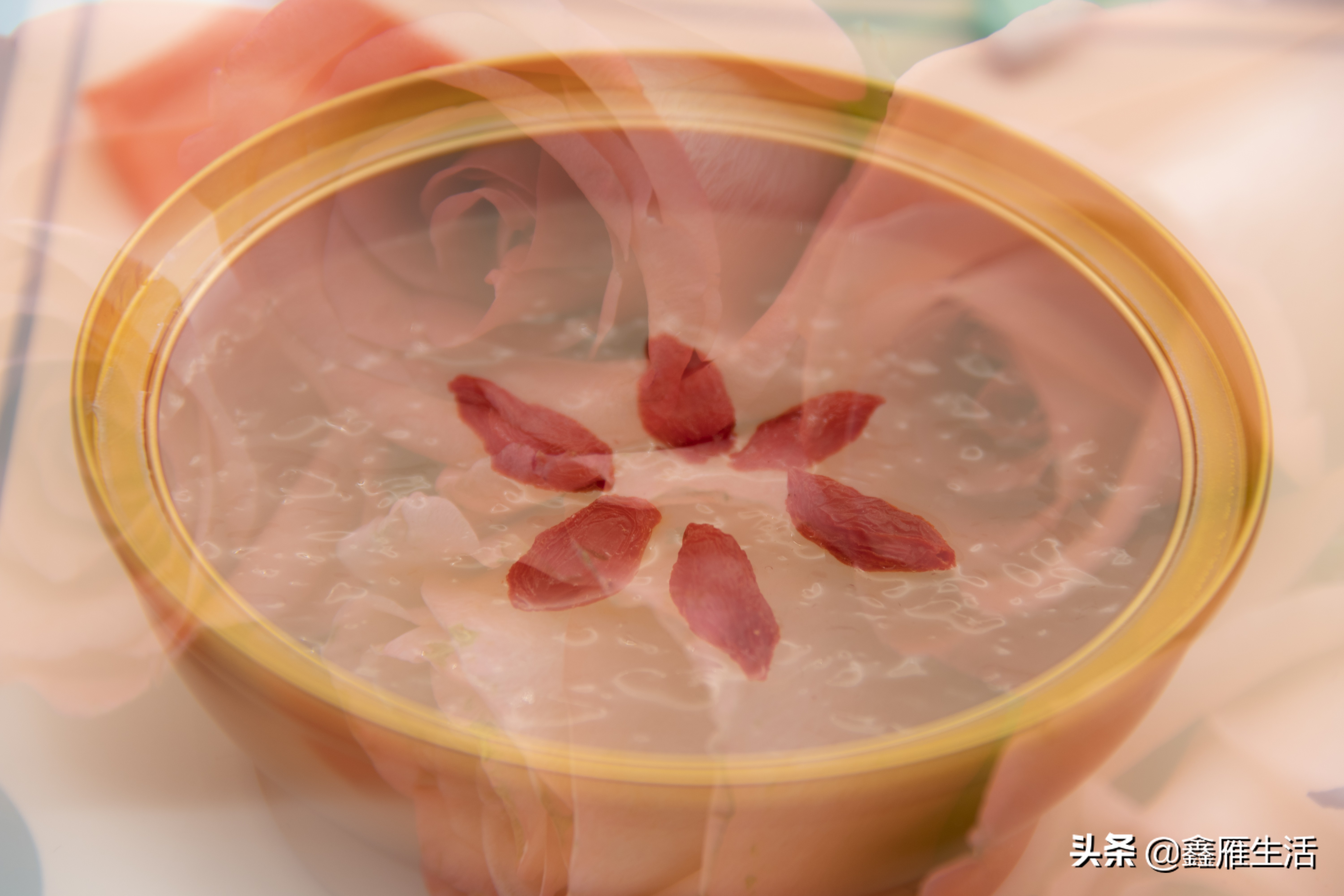 燕窝小知识了解下,关于燕窝你真的懂吗