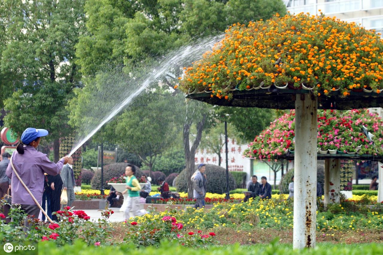 某小区物业管理方案,物业小区绿化作业