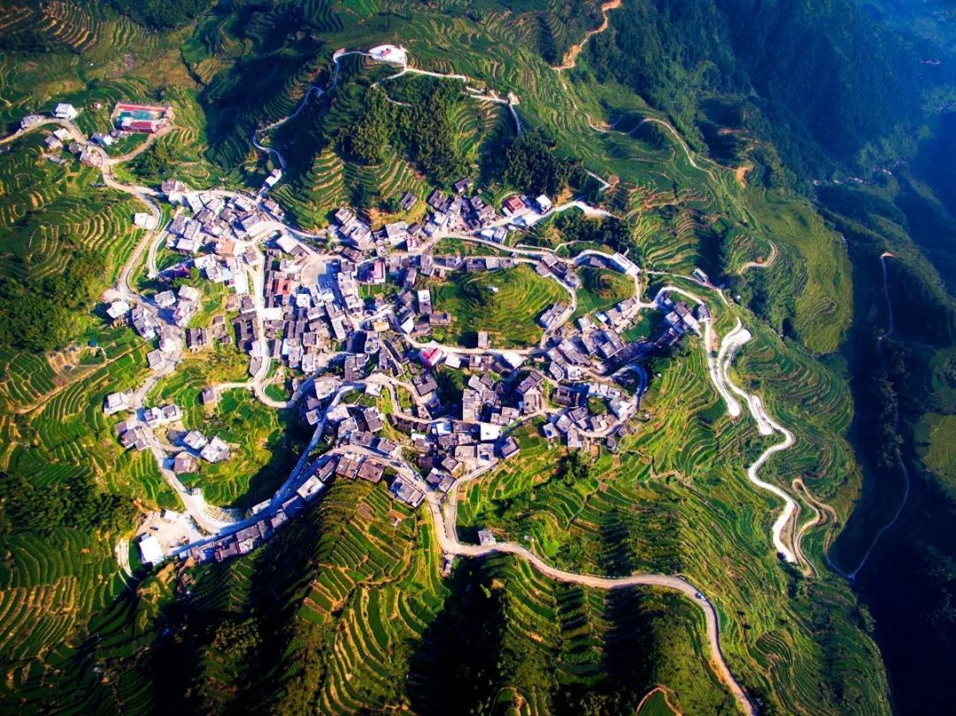 春日茗茶似神仙!厦门人究竟有多好这一口