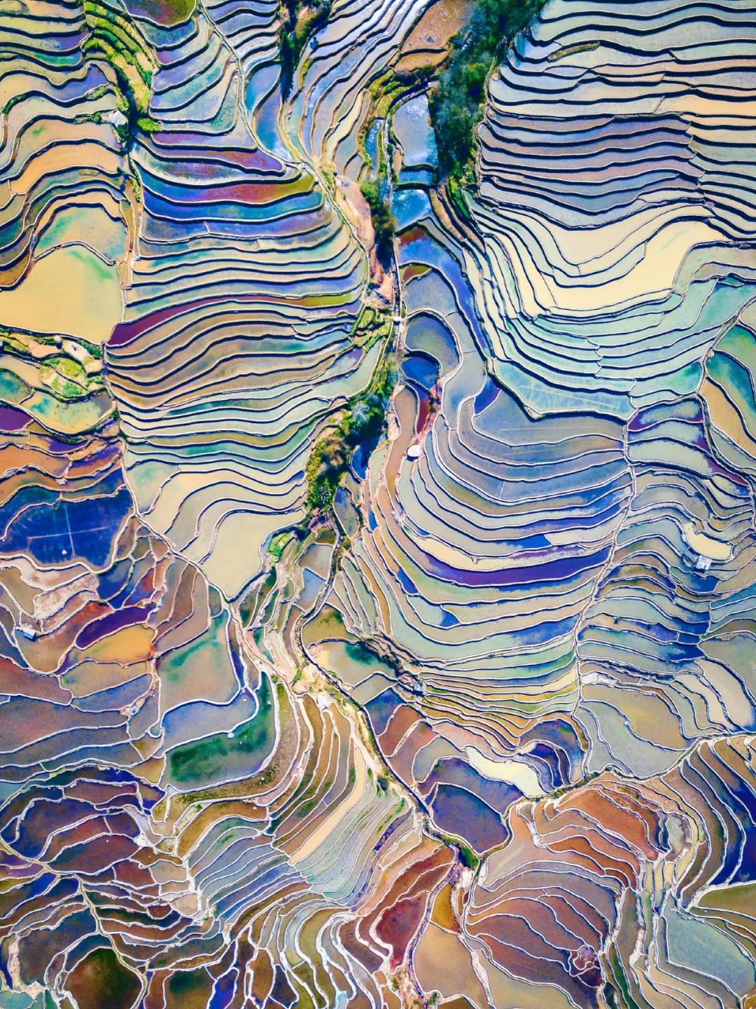 云南抚仙湖绝美风景,云南人少地方美