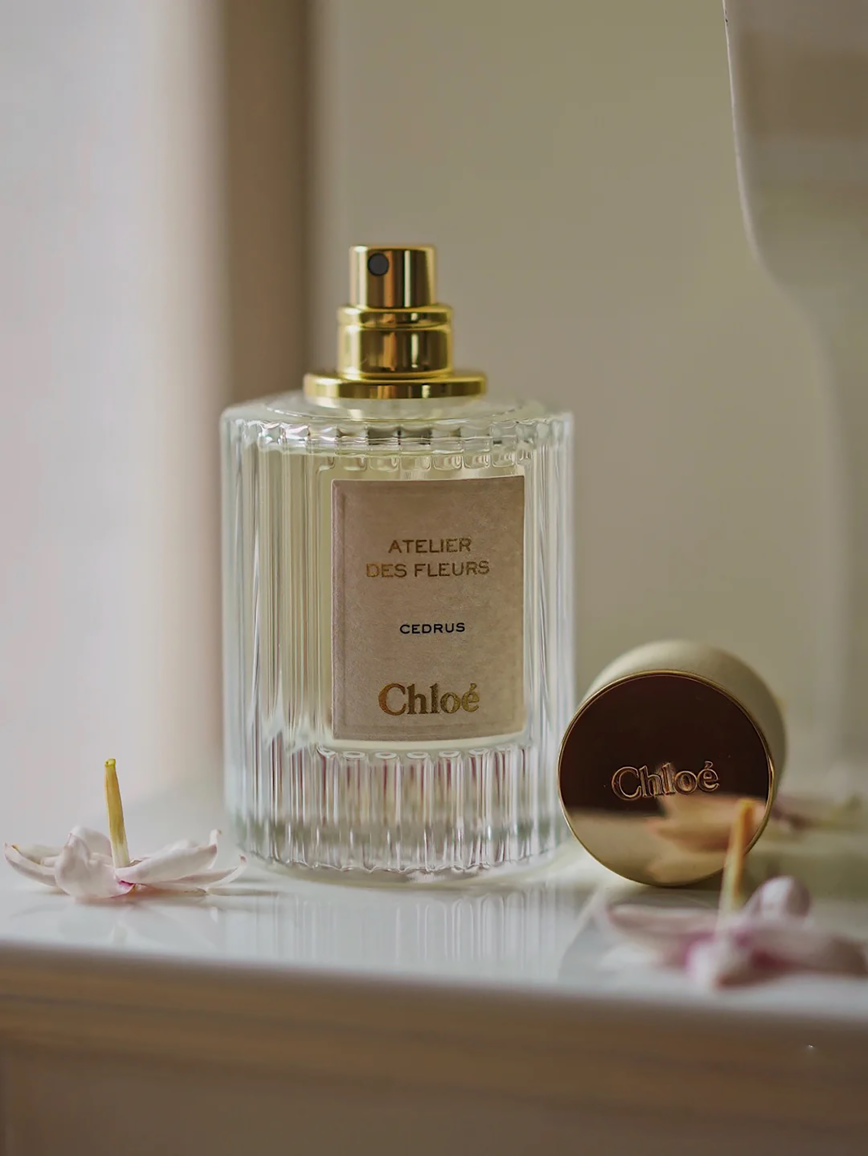 香水喷在哪个部位留香最久图片,香水喷身上哪几个部位不刺鼻还香