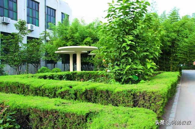 滕州一中全部名单,滕州一中百年名校