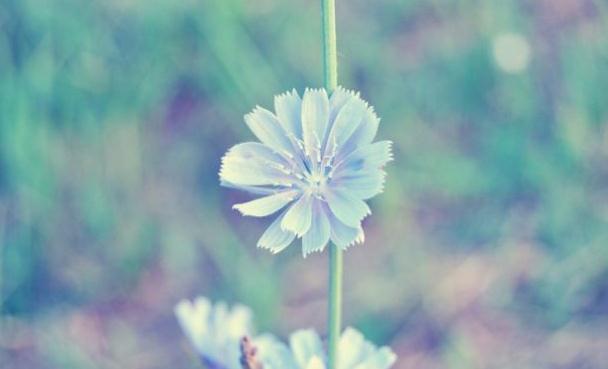 时来运转的征兆都有哪些,真正时来运转的人会有四个征兆