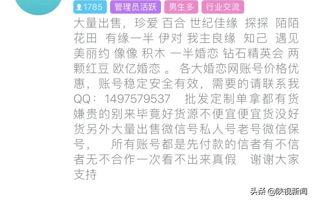 珍爱网征婚,珍爱网相亲