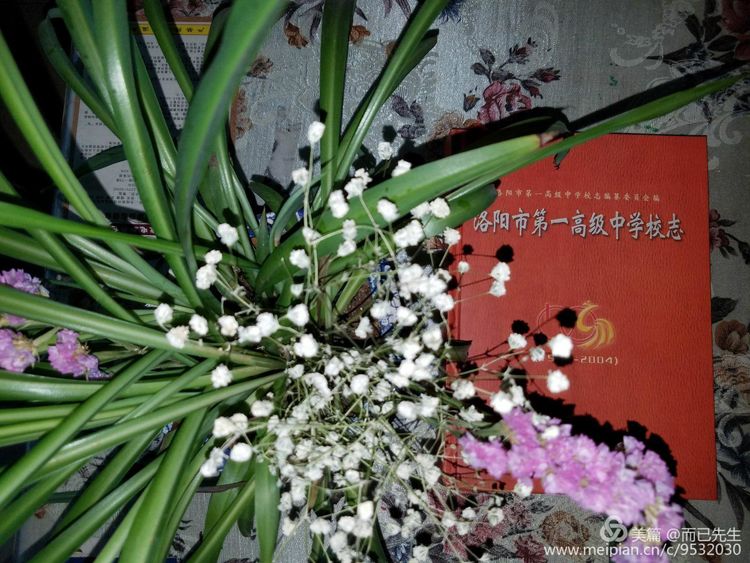 三代结缘深情颂洛一高