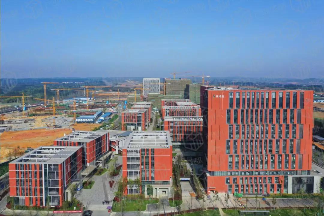 成都这个生物医药领域的“闯入者”凭啥吸引京东方辉瑞等名企？