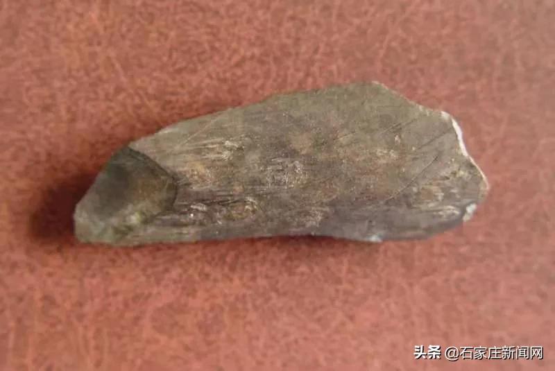 这里，是石家庄先民之家