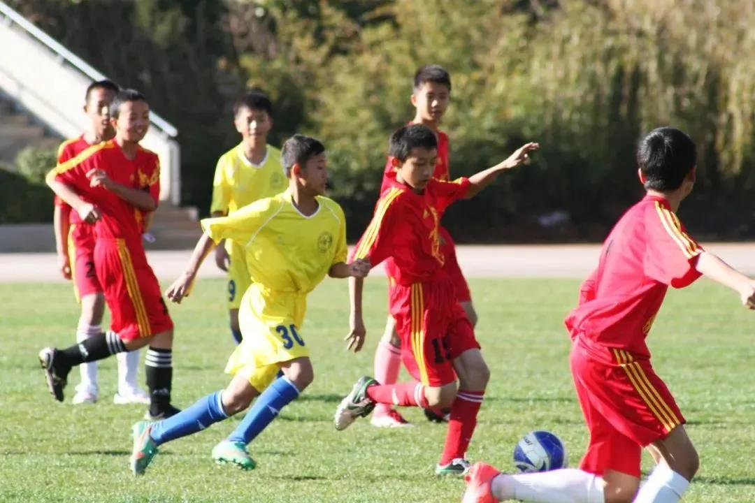 昆明市体考网招生公示,昆明体网招生简章