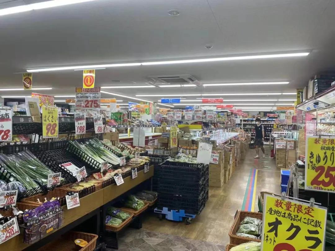 学姐分享：日本物价都很贵？水果买不起？物美价廉的超市推荐