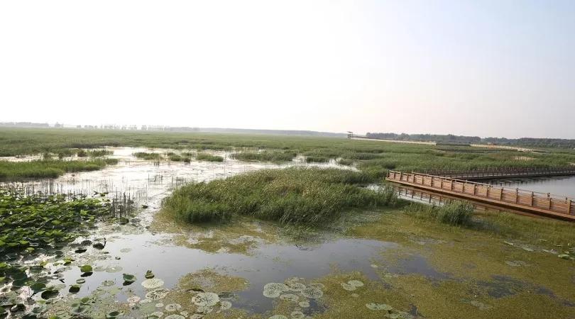 名校动态|看宾大景观系师生如何探索50年来的自然景观设计变迁