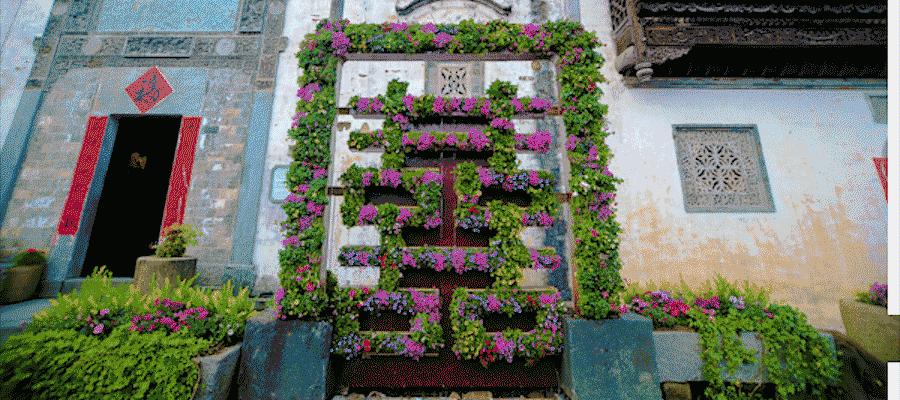 cctv榫欑伅,cctv璇锋偍娆ｈ祻姹熻タ濠烘簮