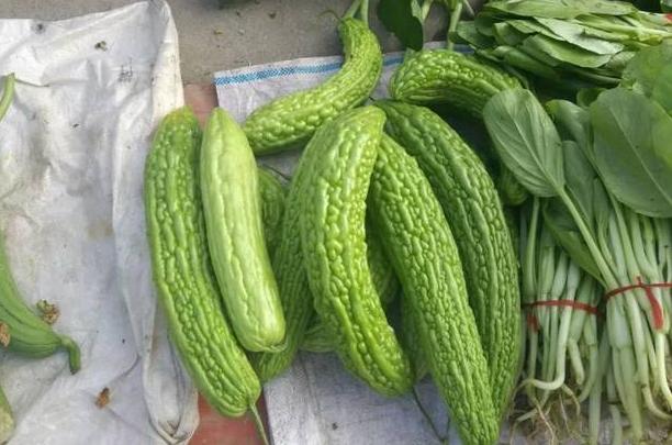 买苦瓜时怎么挑苦瓜不苦呢,买苦瓜要怎么挑