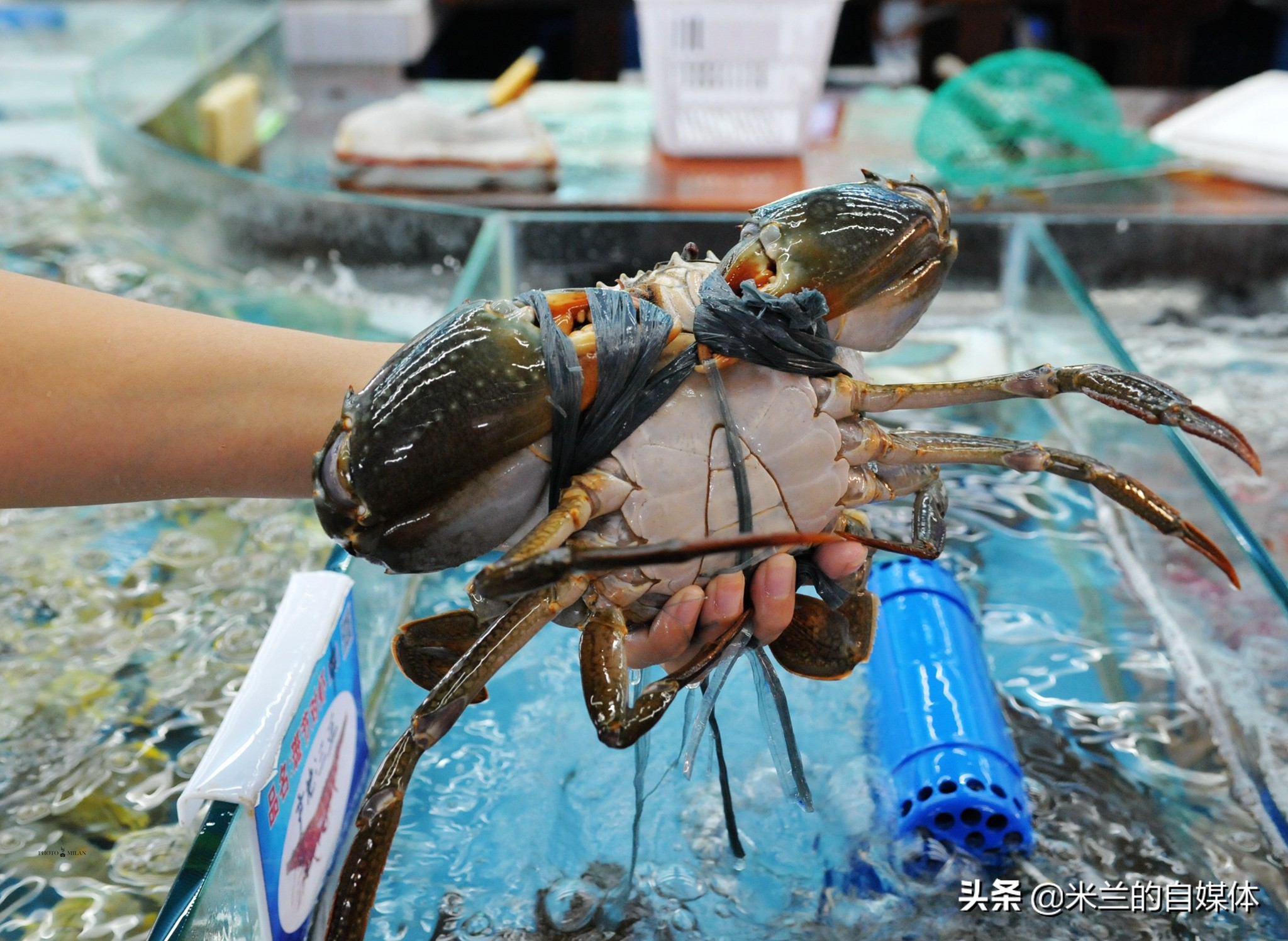 三亚旅游攻略美食推荐,三亚旅游美食攻略自由行