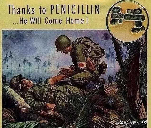 鼠疫世界历史,鼠疫是世界上最厉害的瘟疫吗