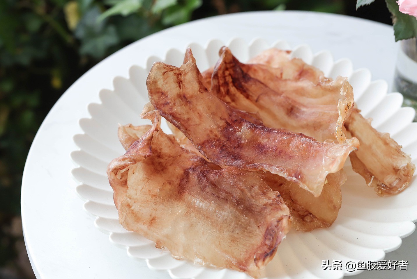 鱼胶正确的泡发方法和做法,顺德鲮鱼鱼胶的做法视频