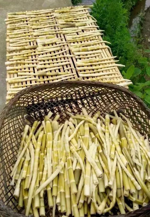 浙江现在这种笋叫什么笋,有一种很大的竹笋叫啥笋