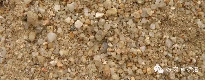 多肉用什么土长得快怎么配土,新手养多肉怎么配土最好