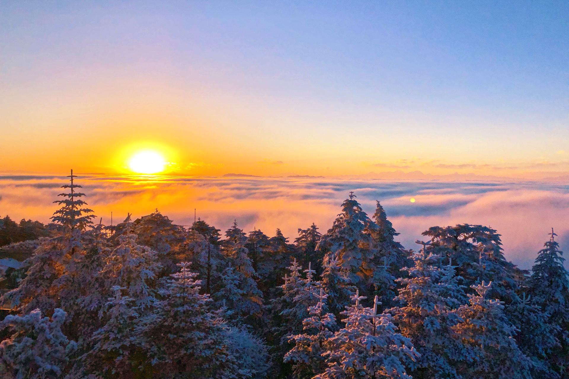 打卡网红地四川旅游胜地,四川天府新区网红打卡景点