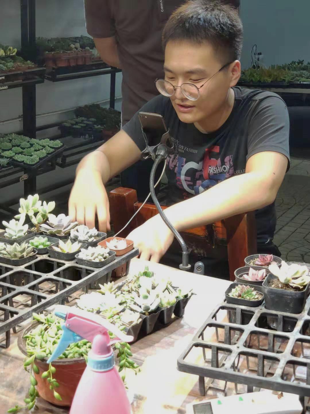 卖多肉年入千万,农村小伙网上卖农产品年入百万