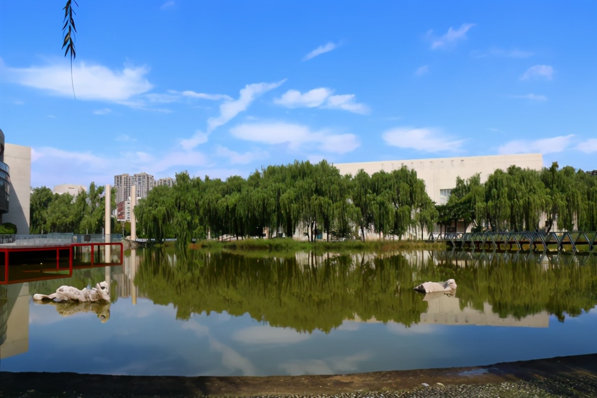 陕西女神学霸火了！大学就当班主任，将赴交大深造，包揽各类大奖