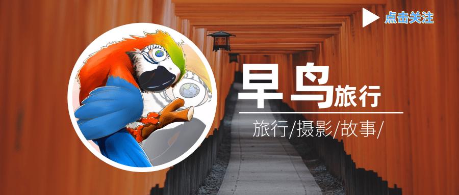 各航司随心飞哪个好,最新各大航司随心飞