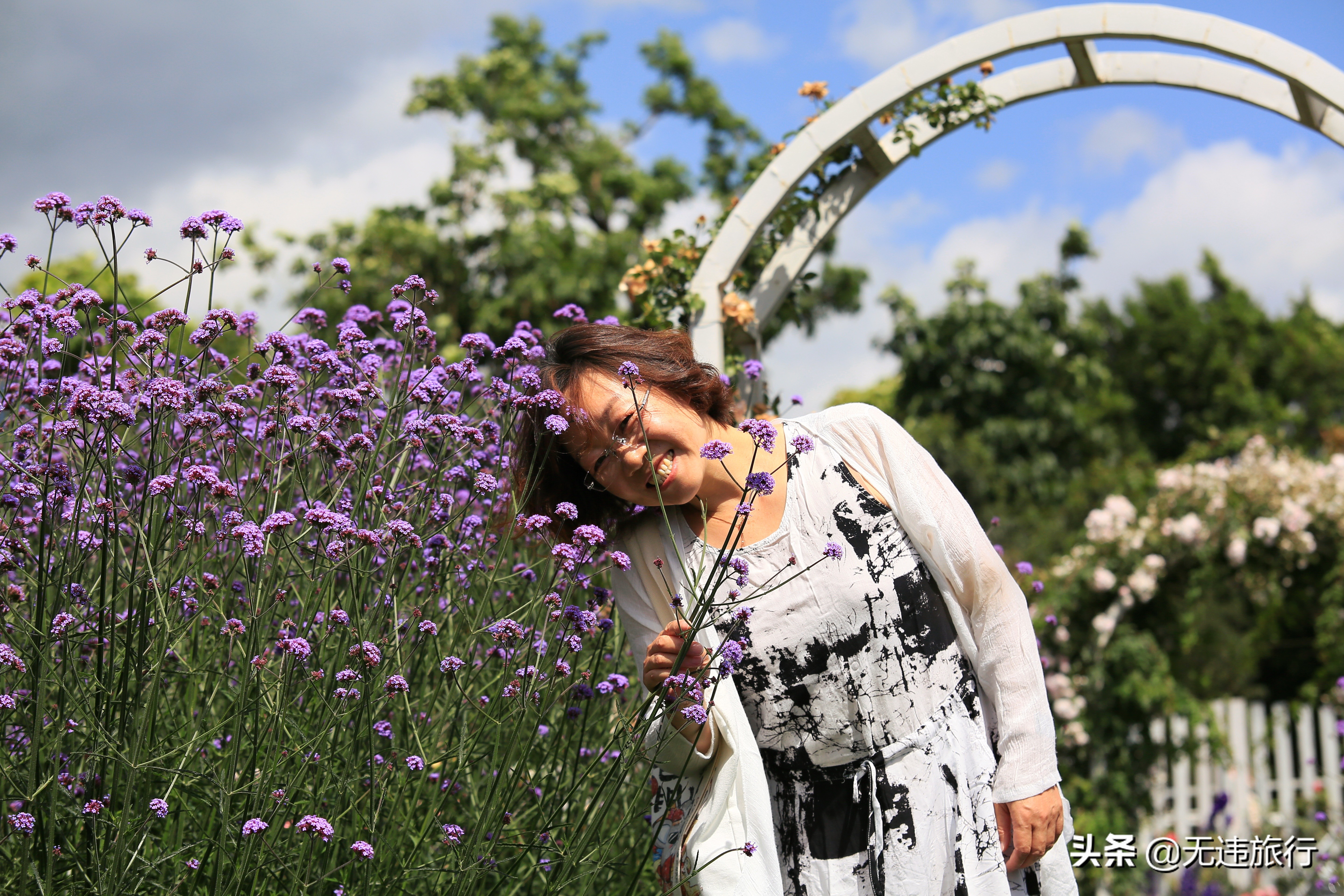 大理网红打卡地草场,大理网红打卡地猫米花园