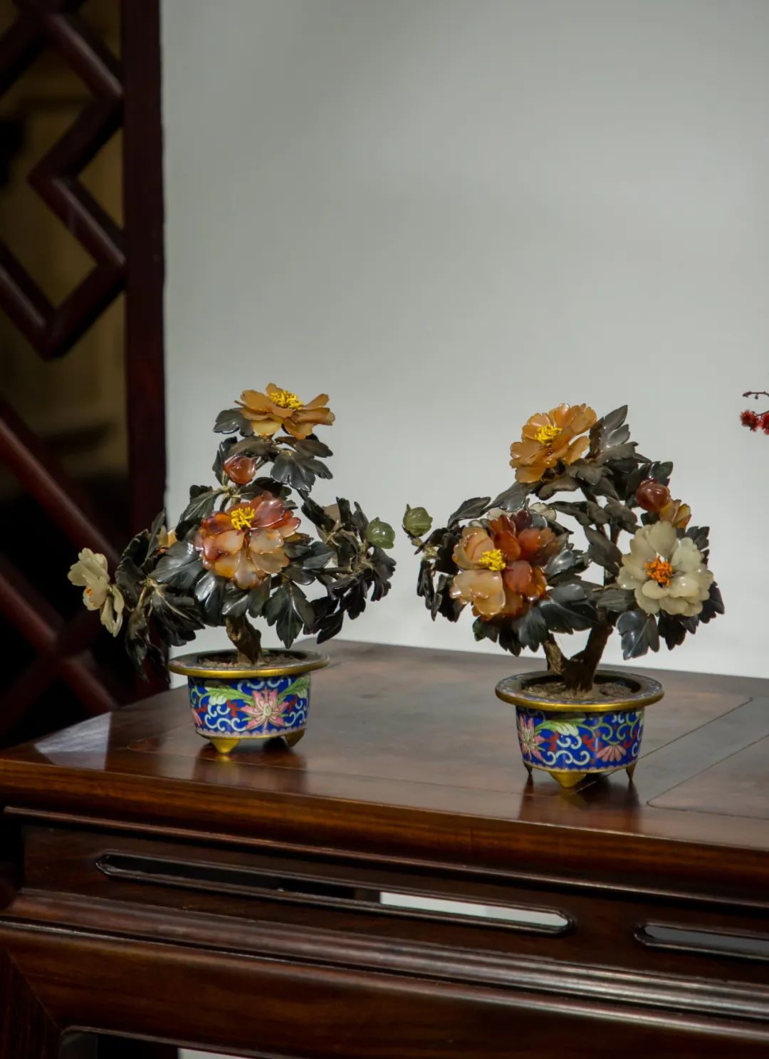 什么是长物志,何为长寿命