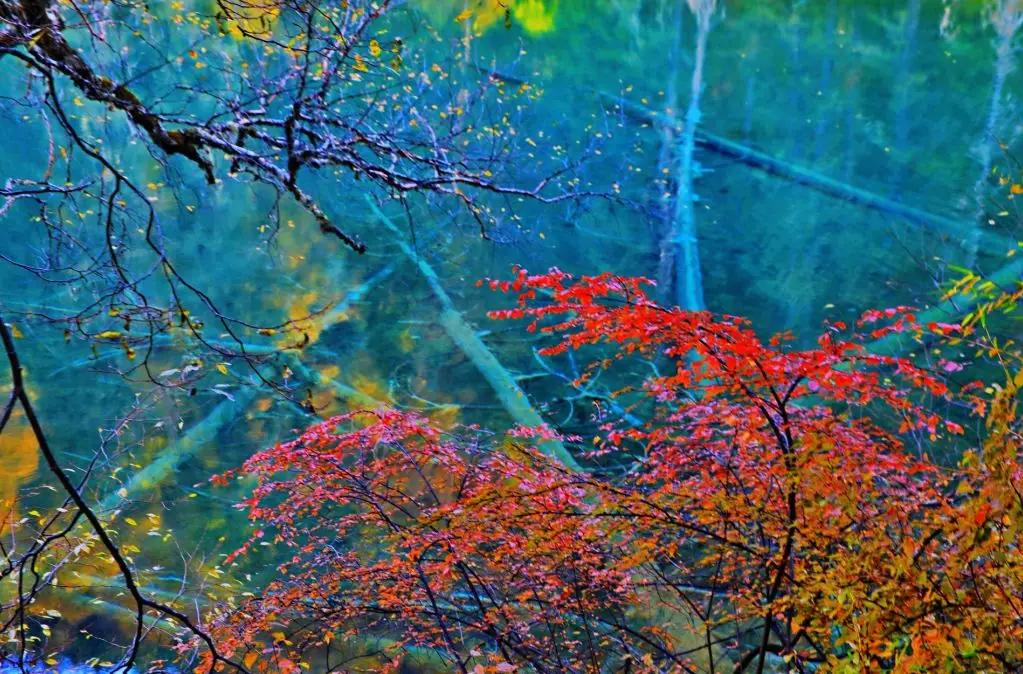 九寨沟路上招手,前方到站宁强