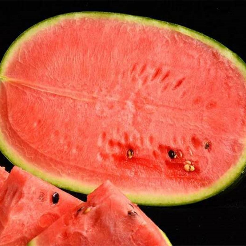 北瓜催芽播种技术,桂北早稻新技术