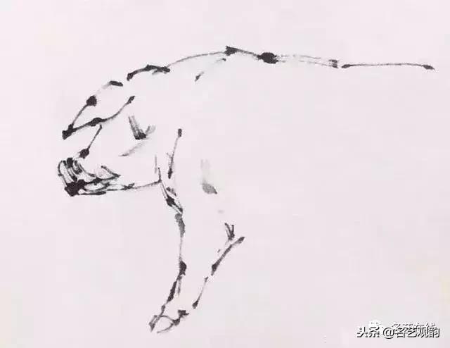 小朋友画猪简单又好看,猪年画猪中国画