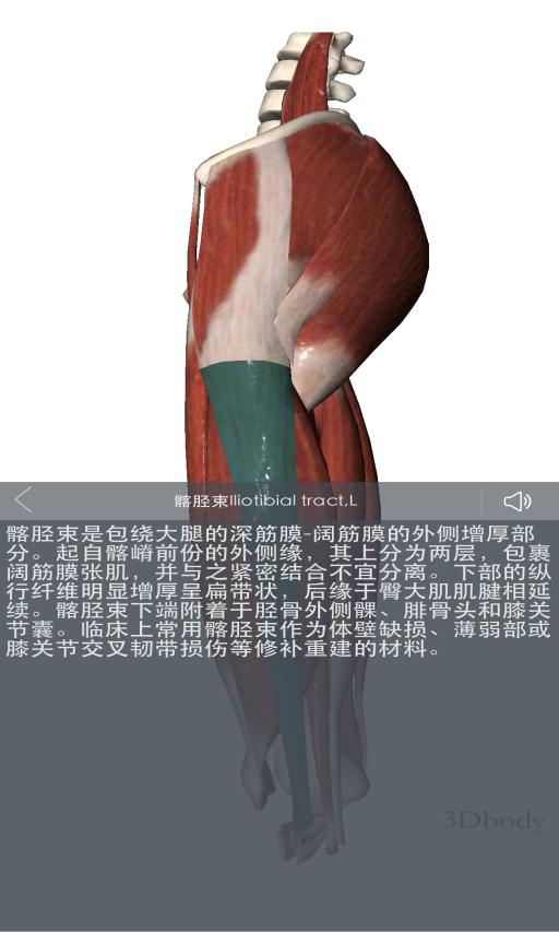 足少阳胆经针灸下针方向,足少阳胆经循行主要穴位及主治