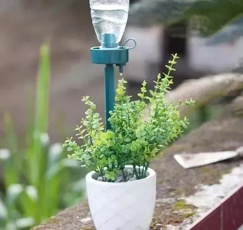 春天养花用见干见湿还是干透浇透,养花的土什么情况叫见干见湿