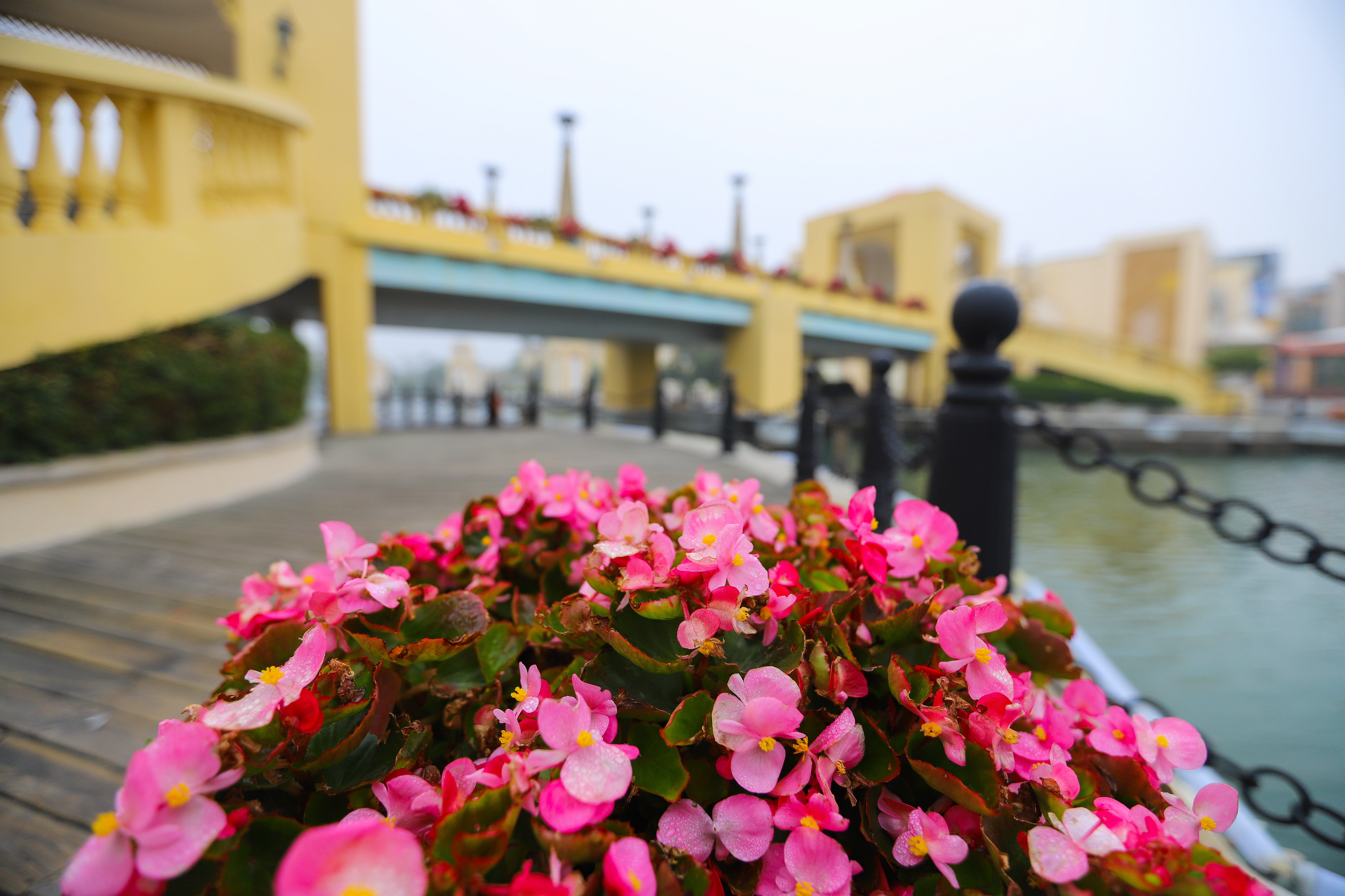 珠海海泉湾春节,珠海海泉湾春节旅游攻略