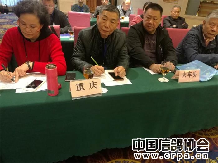 中国信鸽协会各地鸽会,惠州市信鸽协会电话