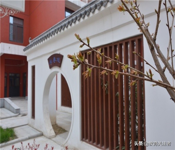 蒲公英小学在郑东新区排名,郑东新区蒲公英小学