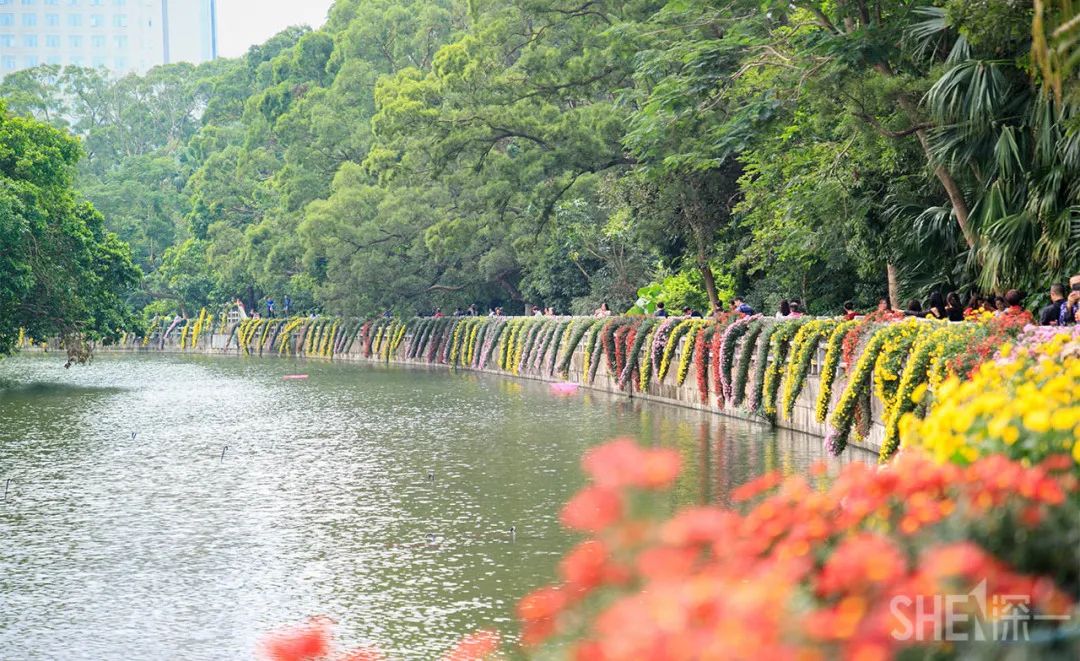 罗湖区的名气大吗,带你了解罗湖