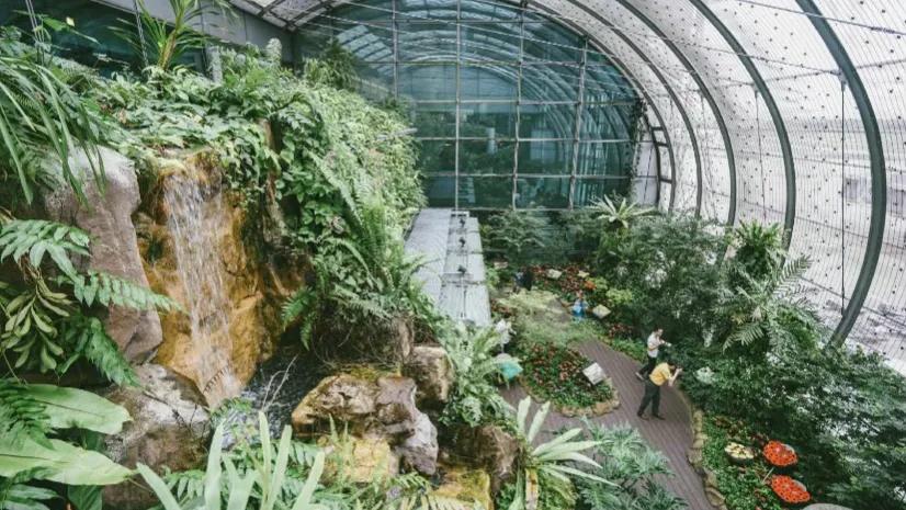 全球最大机场免税店,世界最大机场免税店