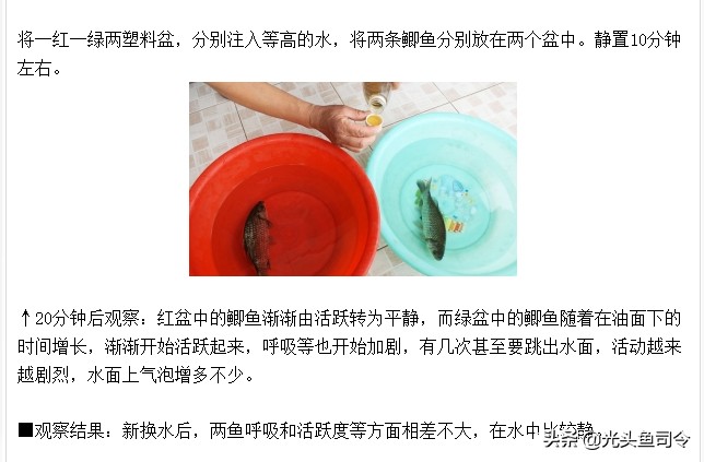 有柴油味的鱼怎么弄,有柴油味的鱼吃了有什么伤害