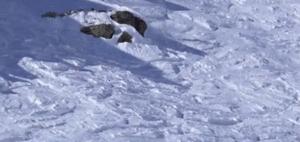 西安哪个滑雪场最好玩儿,夏天也可以去的滑雪场陕西